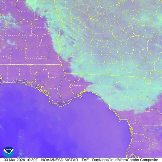 NWSTallahassee's tweet image. 3/3/26 615AM EST 
🌙😶‍🌫️🤏@NOAASatellites

#Tallahassee is right on the edge of this wedge (rhyme intended) stratus deck during the #LunarEclipse2026! For those in our local Central Time Zone Counties, y'all were in better luck! 

#FLwx #GAwx #ALwx