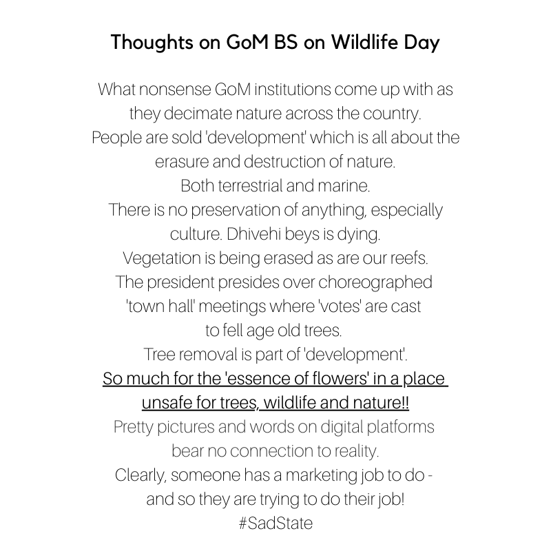 Humay 🎈❓ tweet media