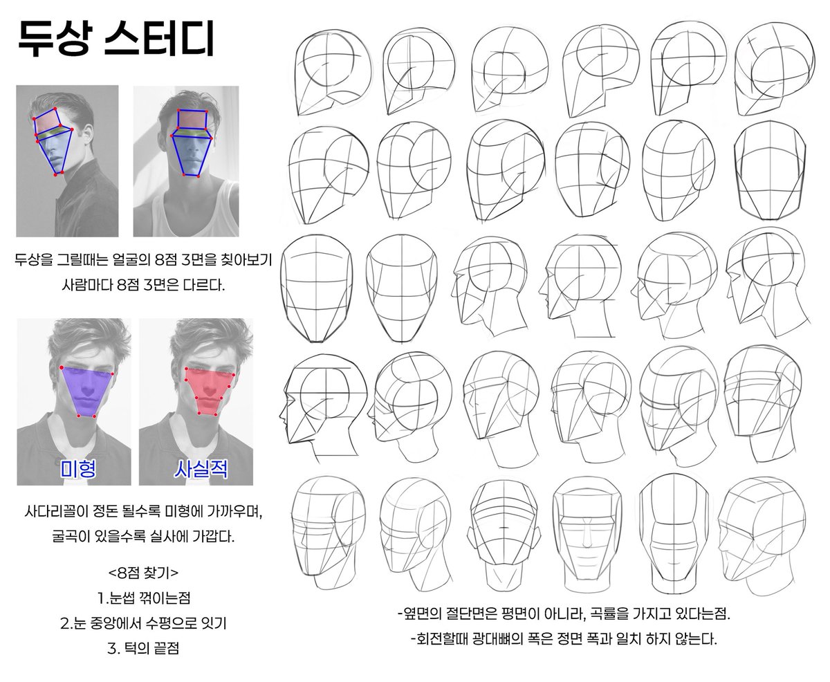 루미스로 두상 스터디
-두상을 그릴때는 얼굴의 8점 3면을 찾아보기 / 사람마다 8점 3면은 다르다
-사다리꼴이 정돈 될수록 미형에 가까우며, 굴곡이 있을수록 실사에 가깝다
-8점 찾기 1. 눈썹 꺾이는 점 2.눈 중앙에서 수평으로 잇기 3. 턱의 끝점
-루미스 두상의 옆 절단면은 평면이 아니라, 곡률을