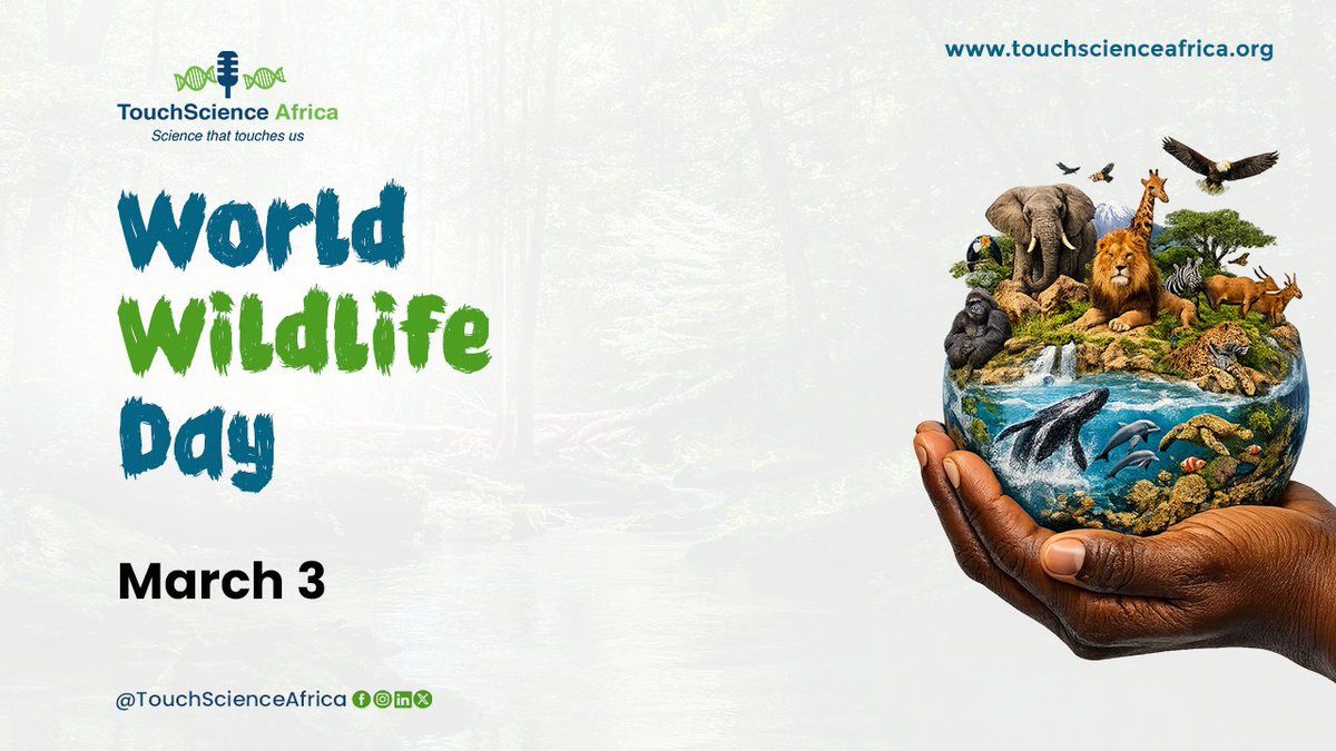 TouchScience Africa tweet media