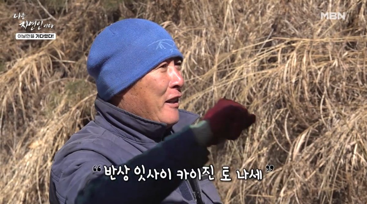 sato l 金田サト tweet media
