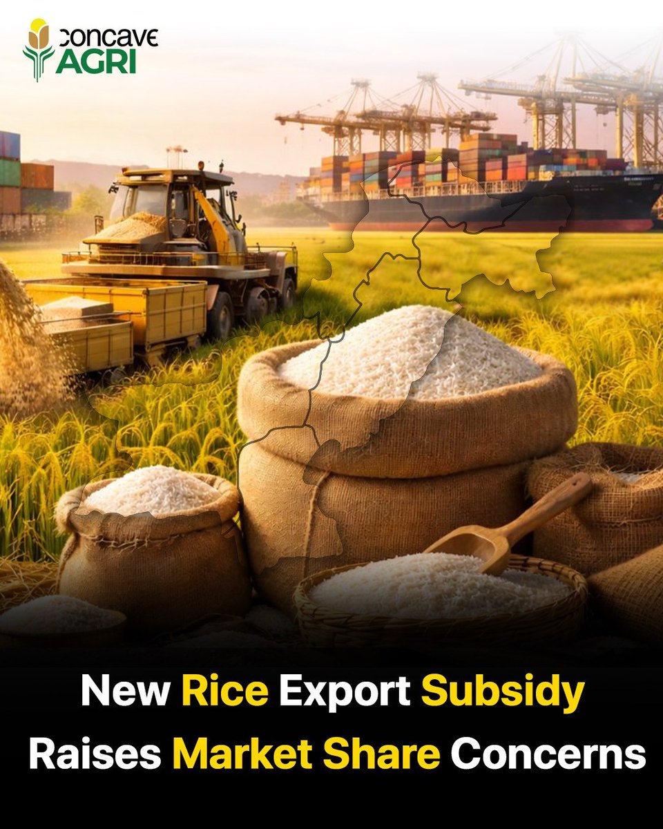 Concave_Agri's tweet photo. Pakistan launches a Rs 15bn DLTL rebate with 9% subsidy on rice exports—but experts warn of over-invoicing risks.

With Indian Basmati priced far lower, weak monitoring could hurt global market share.

🌐https://t.co/d0EPx5CYDT | ☎0347-4102474  

#ConcaveAGRI #RiceTrade #Exports https://t.co/wmoKn23ENE