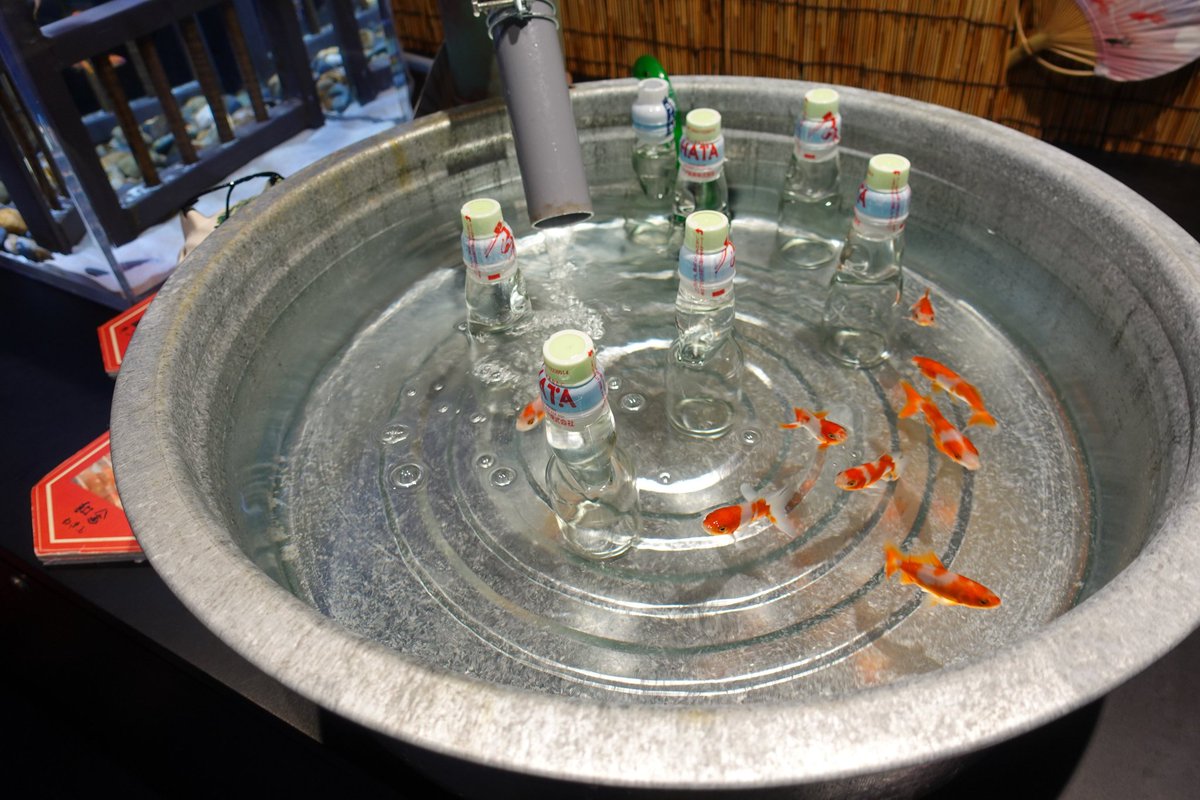 Unamekujiphoto's tweet photo. 3/3は金魚の日〜 https://t.co/tSu3evevbY