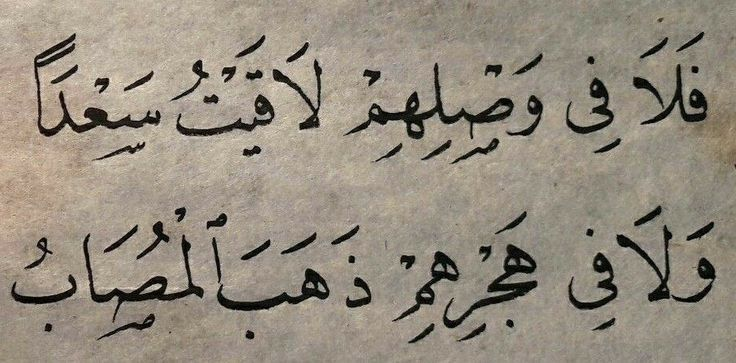 بيت شعر عربي كل يوم tweet media