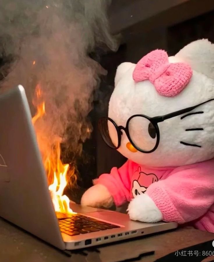 มีวูอ่านว่าวูมี tweet media