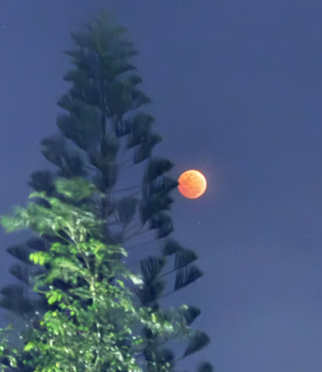 Lalalajoie's tweet image. Different places, same sky. Are we looking at the same moon tonight? 🌝✨
#LunarEclipse #MoonGazing