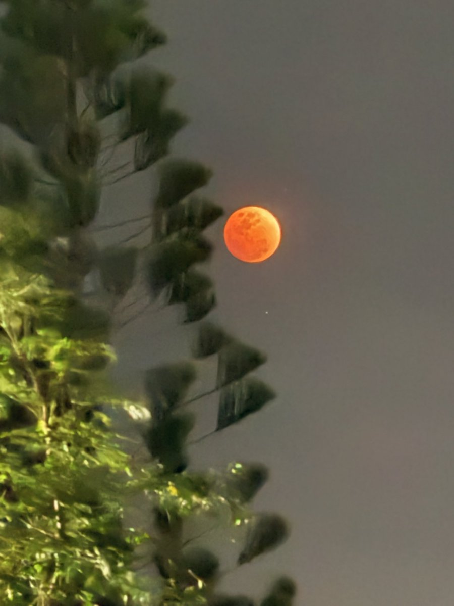 Lalalajoie's tweet image. Different places, same sky. Are we looking at the same moon tonight? 🌝✨
#LunarEclipse #MoonGazing