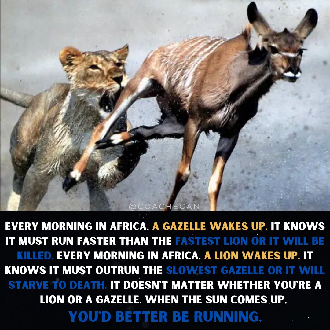 Coach Egan tweet media