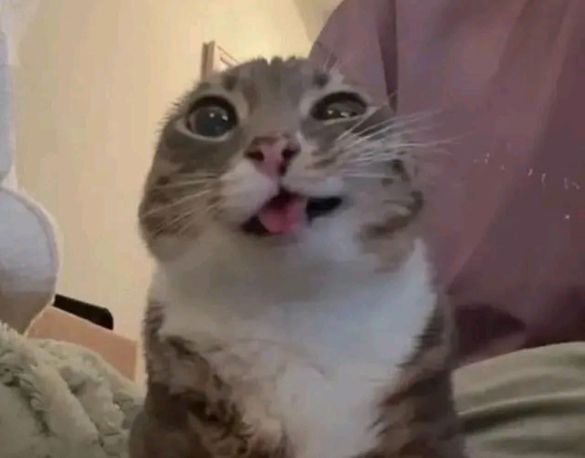 StraitAxis tweet media