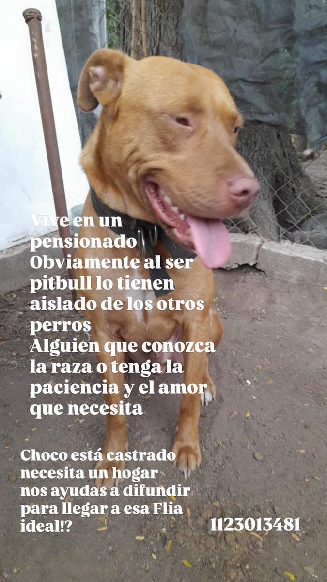 patripeyrou's tweet photo. Difundimos https://t.co/0CPUO4MHXN