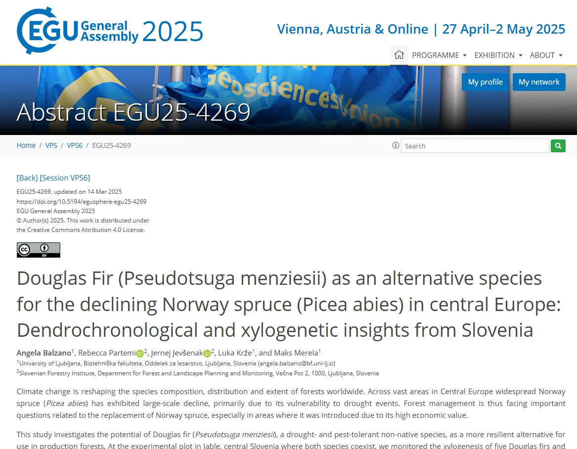 coniferas+ tweet media