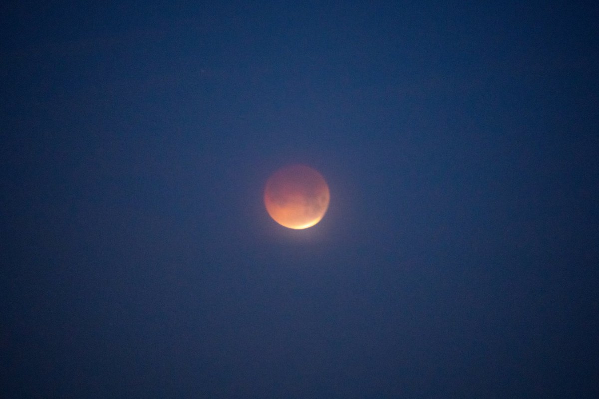 🚨Update: This morning there was the Blood Moon AND a lunar eclipse as well, a harbinger of judgement on the nation of Israel and the Middle East! We are living in Prophetic times.