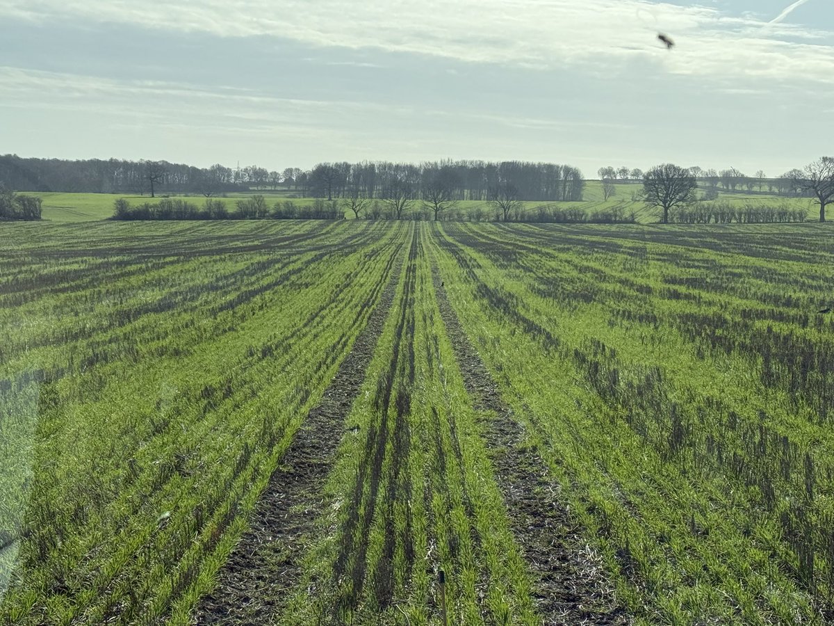 phil rowbottom tweet media