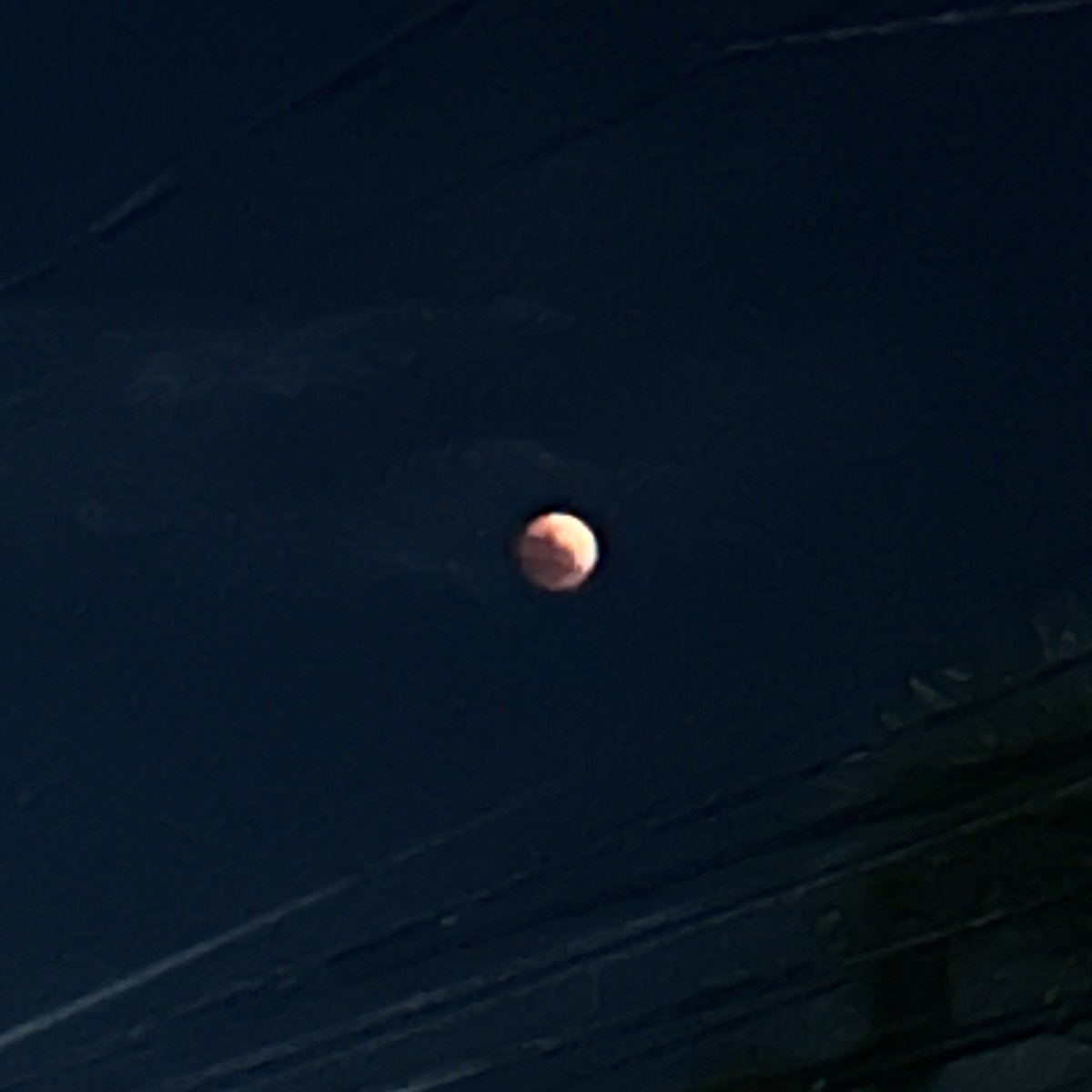 daily eclipse 𖤓☾ tweet media