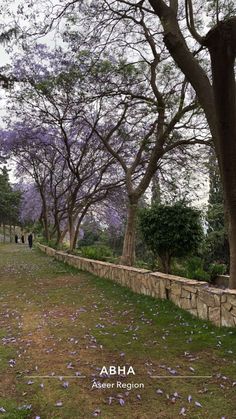 يوسف (@yosefsawd) on Twitter photo 