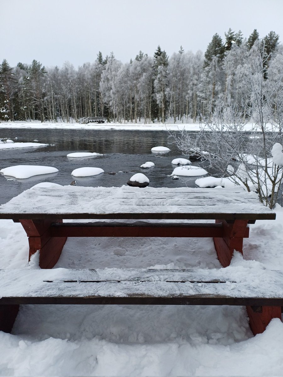 Sari Maarit tweet media