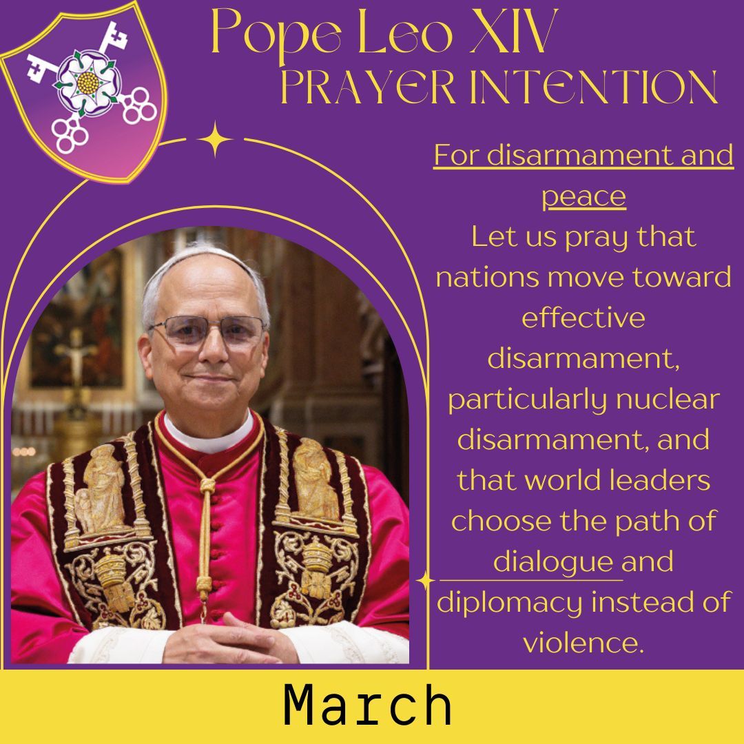 St Peter's Catholic College tweet media