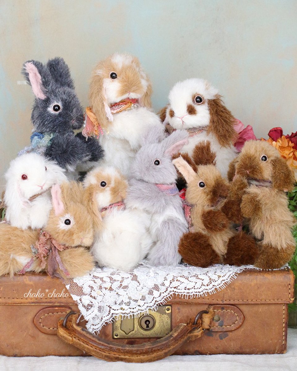 🐰ちゃすけ店長の通販企画🐰

ショップOPENしました♡
chakochako.theshop.jp

うさぎの日を
一緒に楽しんでもらえると嬉しいです♡
よろしくお願いいたします🙏