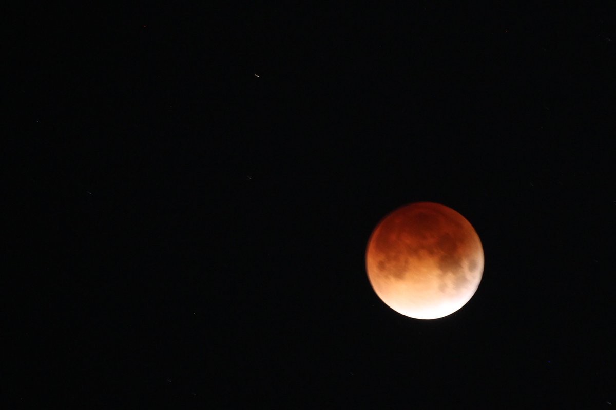 elguerolanchero's tweet photo. #MOON #mooneclipse2026 #lookup Mission accomplished https://t.co/4SCSTZZFJj