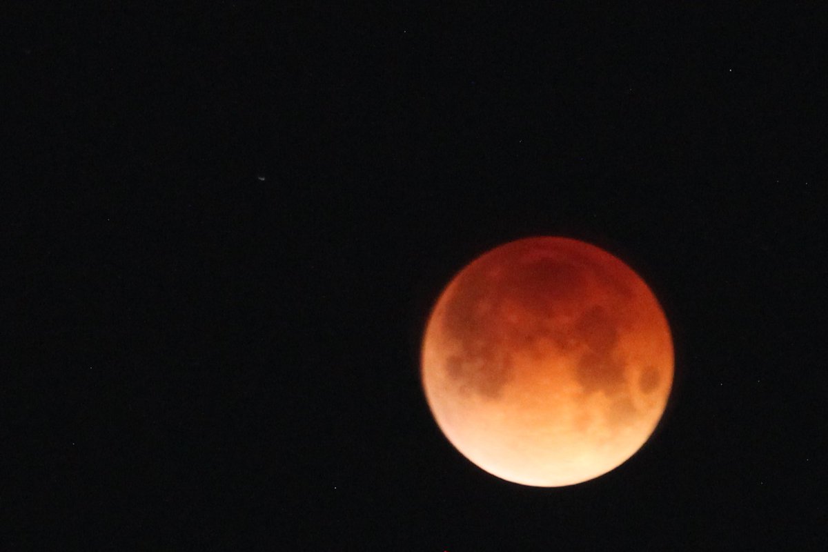 elguerolanchero's tweet photo. #MOON #mooneclipse2026 #lookup Mission accomplished https://t.co/4SCSTZZFJj