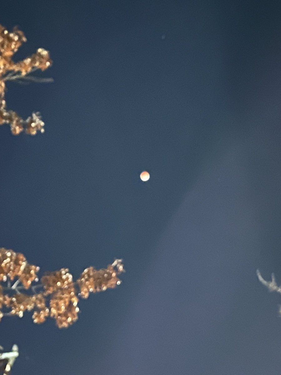 mattgraykxly's tweet image. #spokane #LunarEclipse2026