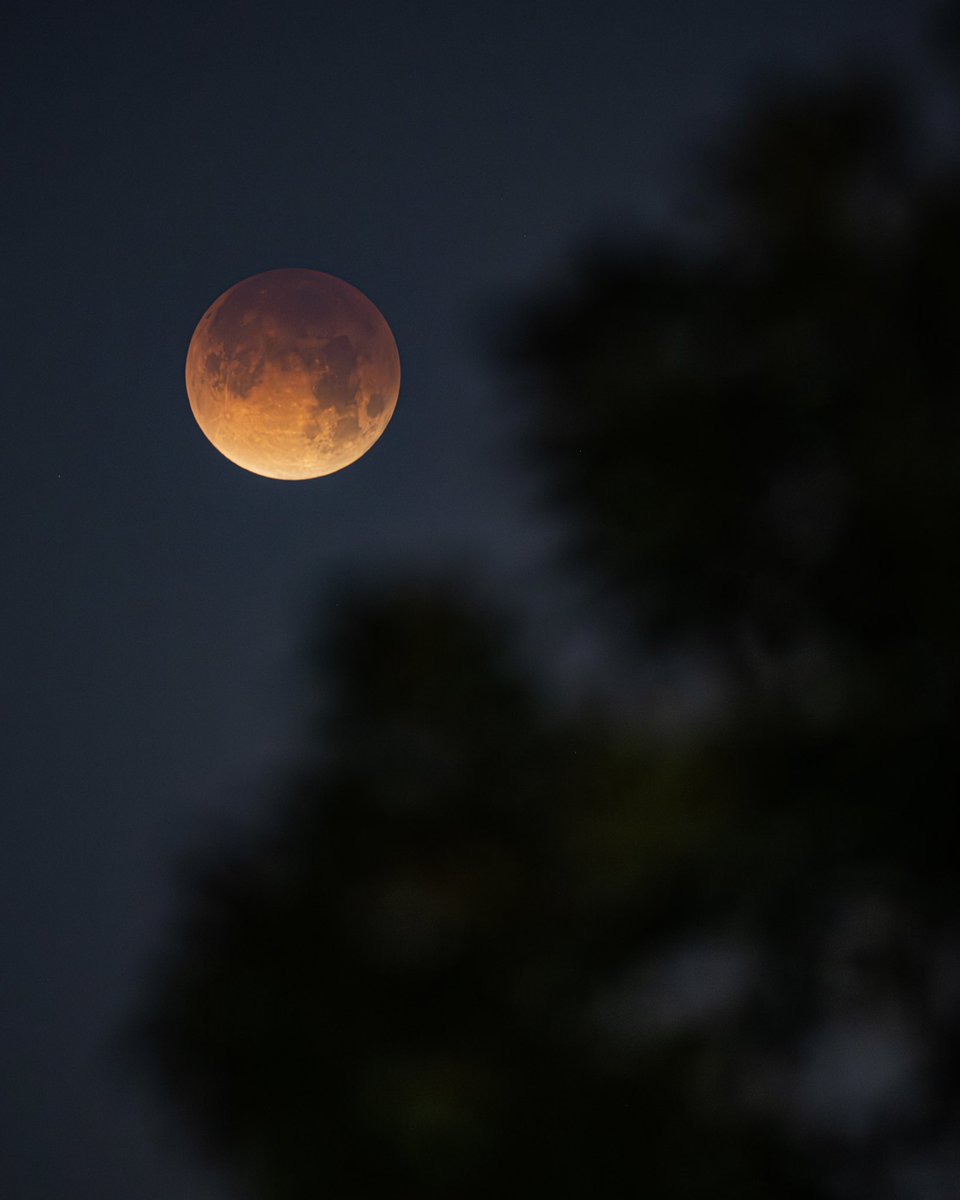 Michael Cain tweet media