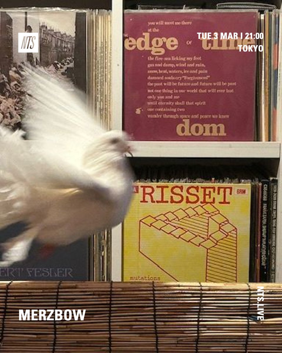 🐖🐐🐓Merzbow🐄🐏🦃 tweet media