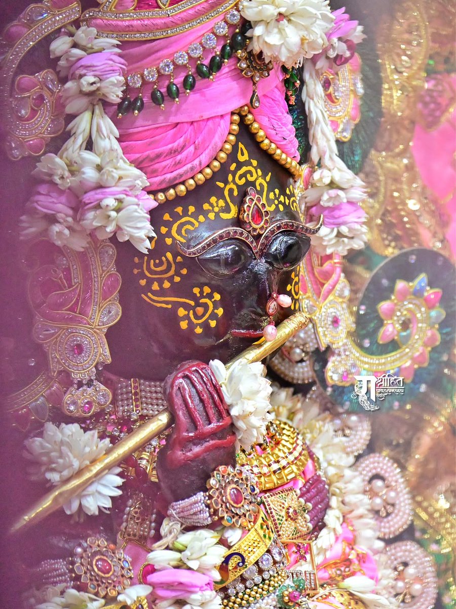 राधावल्लभ जू सरकार 🌸