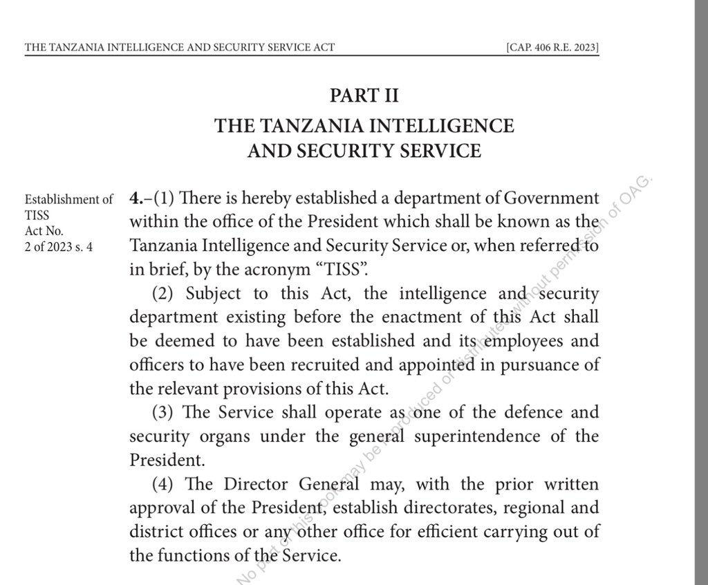 Maria Sarungi Tsehai tweet media