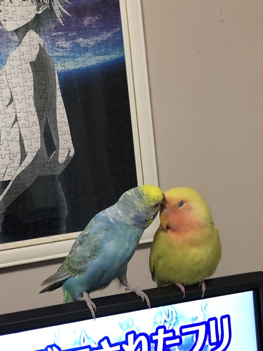 りくくう tweet media