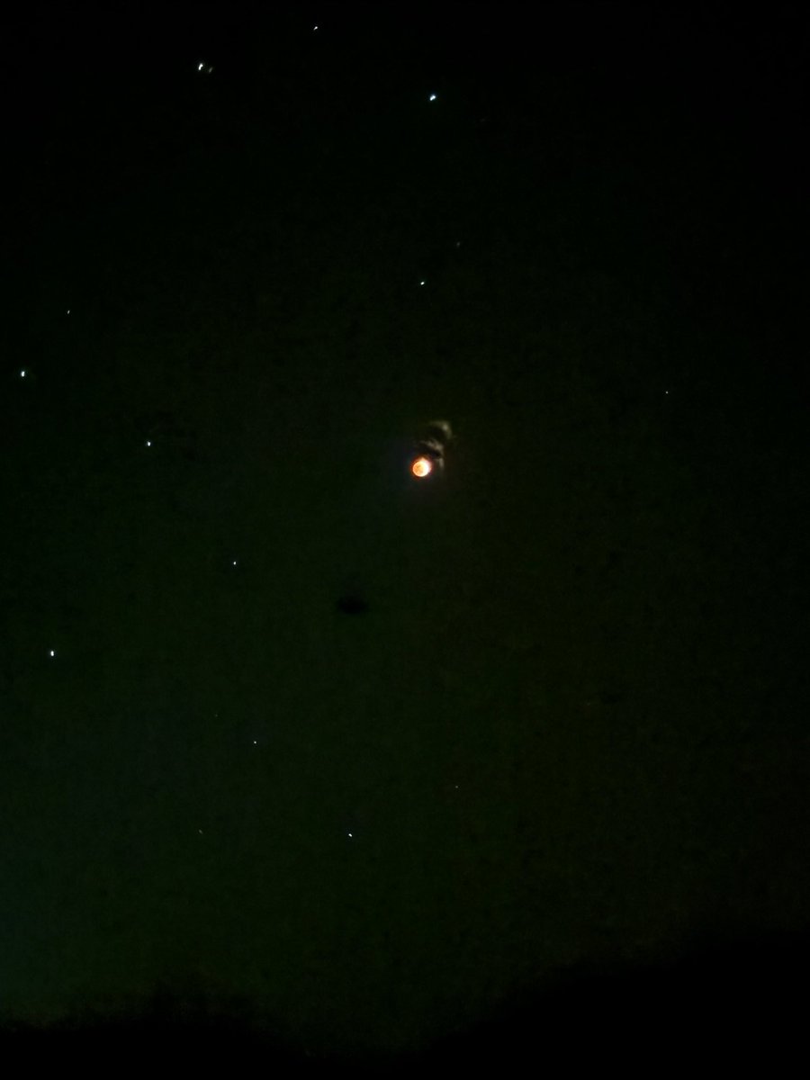 石川主税　Chikara ISHIKAWA tweet media