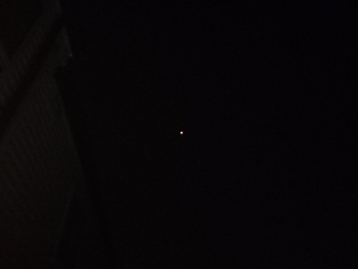 ShellPluck's tweet image. Blood moon/lunar eclipse happening around where I am. It doesn't show up well on my camera but it looks cooler in person