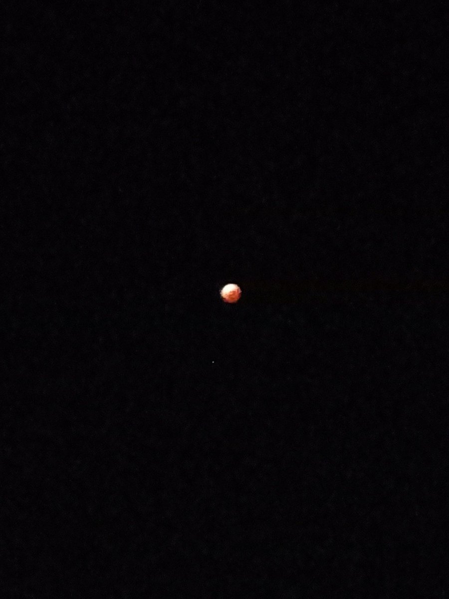 ShellPluck's tweet image. Blood moon/lunar eclipse happening around where I am. It doesn't show up well on my camera but it looks cooler in person