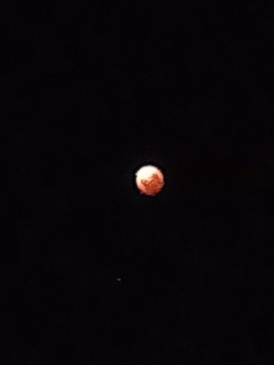 ShellPluck's tweet image. Blood moon/lunar eclipse happening around where I am. It doesn't show up well on my camera but it looks cooler in person