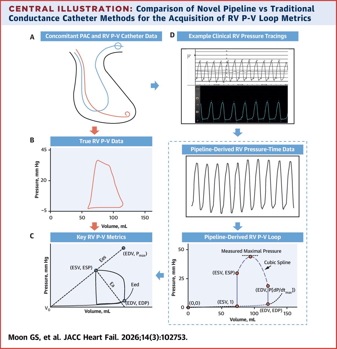 A Novel Computational Pipeline for Acquiring Pressure-Volume Hemodynamics of the Right Ventricle in Pulmonary Hypertension

Study investigators have developed a novel computational pipeline that digitizes and generates single-beat estimates of RV-pulmonary arterial coupling from