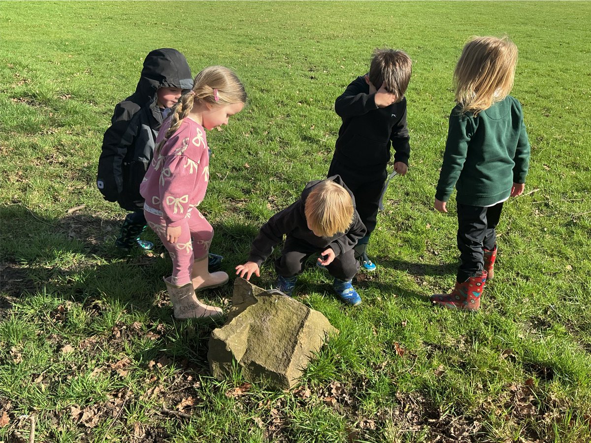 Ivy Bank Primary tweet media