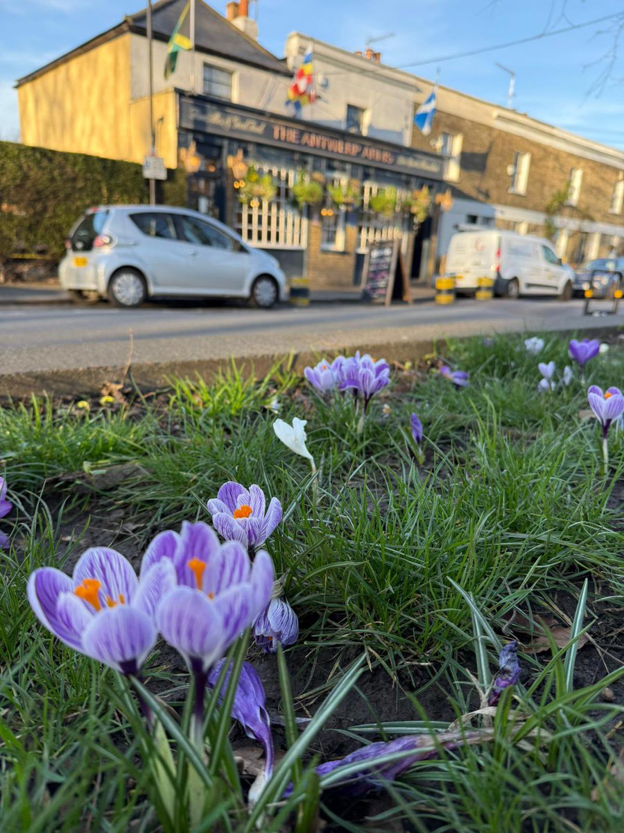 Antwerp Arms tweet media