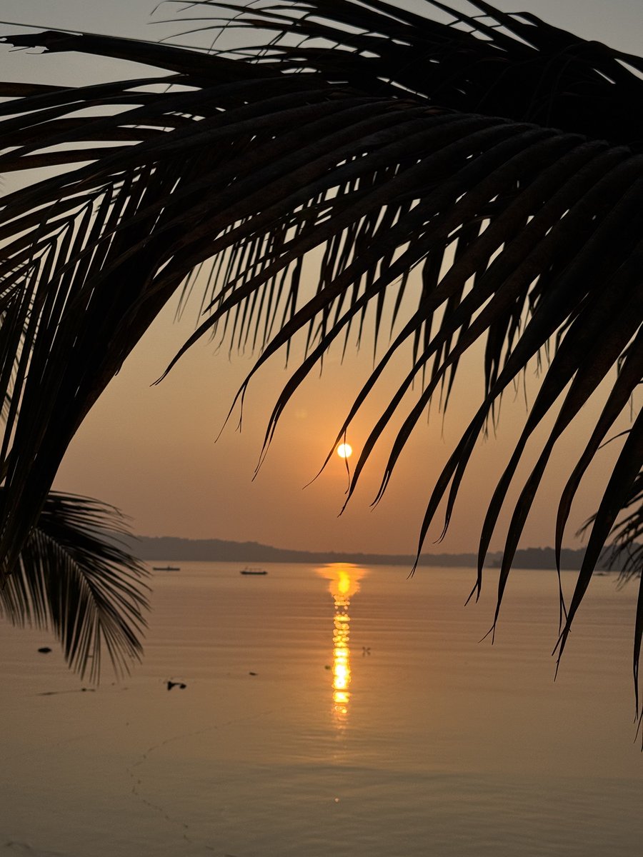 indian_pitta's tweet photo. Share your reflection photographs https://t.co/CvKBGjf0Hc