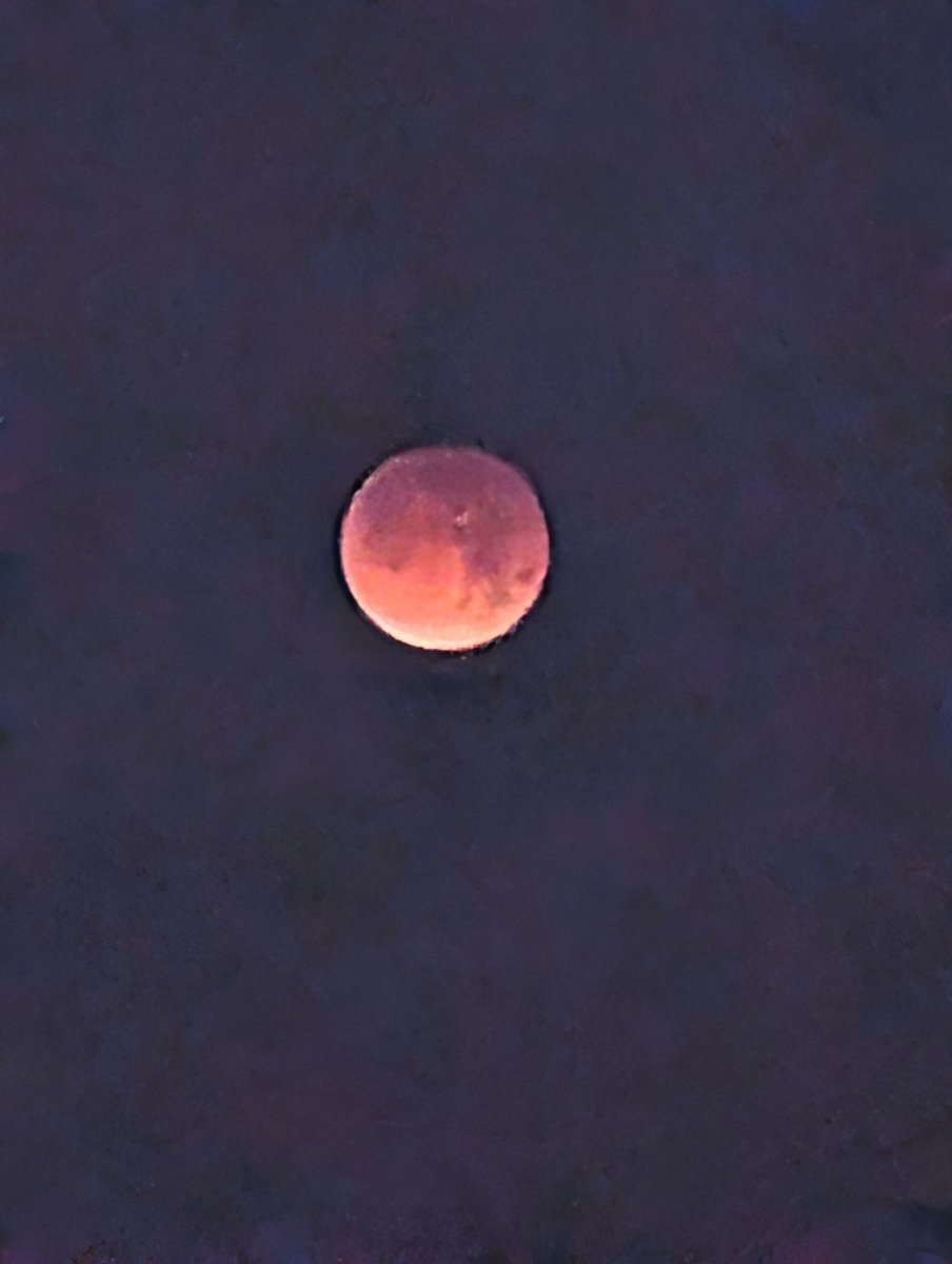 tropicalupdate's tweet image. Blood Moon! Lunar Eclipse this AM from Dunedin Causeway, Florida.