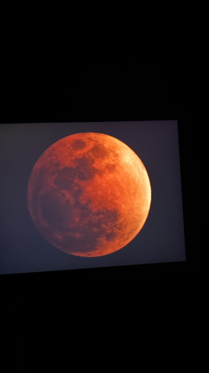 ama0202's tweet photo. カントー地方から弾丸遠征で鹿児島県へ！
皆既月食見れてます！🌕
カメラで撮ったものをスマホに写してるのであれですが、明日にはしっかり選定をしてみなさんにお裾分けできると思います♪
やったあーーー！！！ https://t.co/OCRWaVWBeZ