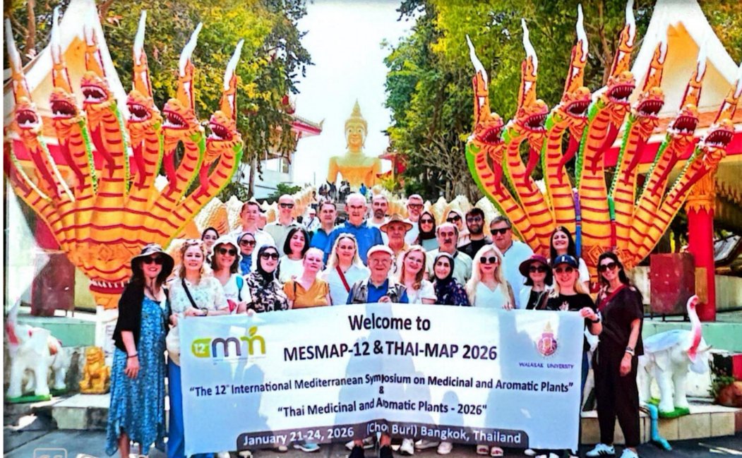 Universidade Lusófona tweet media