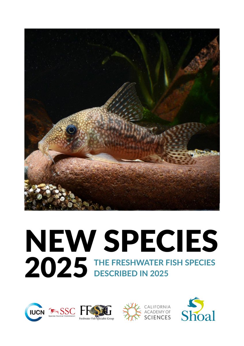 Fish in the News tweet media