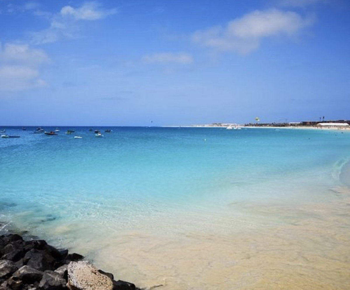 Marc Bircham tweet media