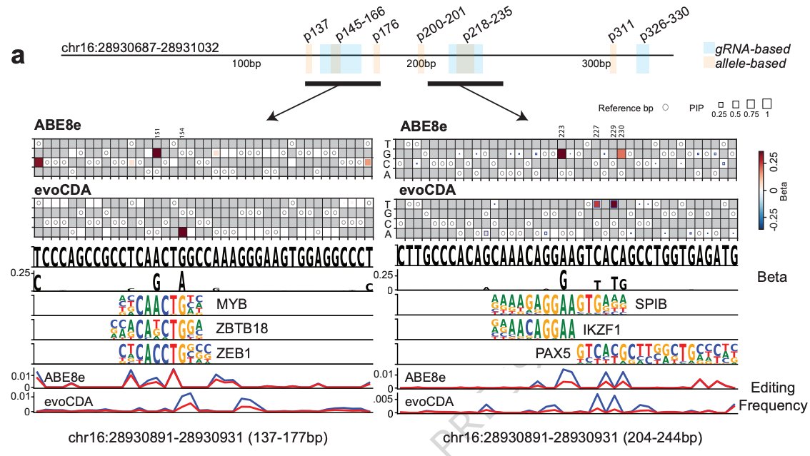 Davide Seruggia tweet media