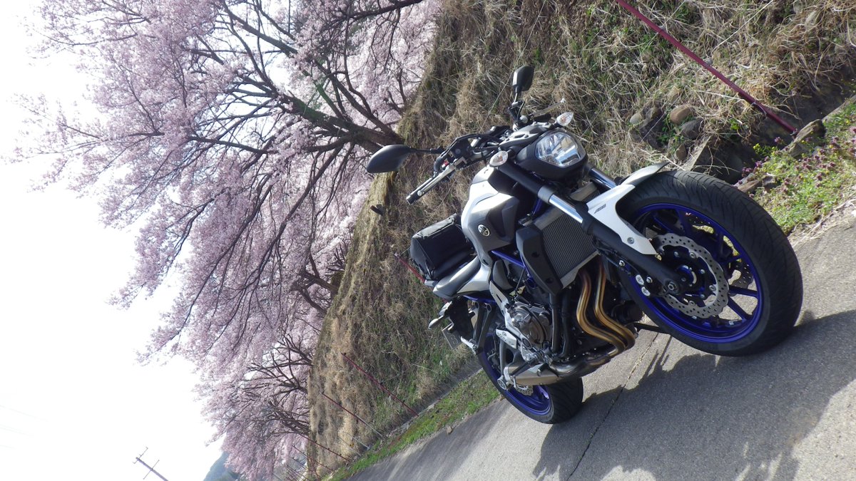 MT-07系列は確かに優秀なんだが僕にゃ合わなかった 3年半共に駆けたが