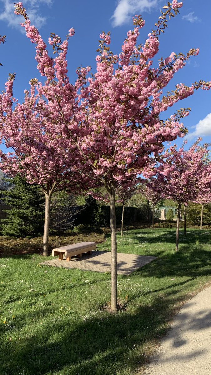 only aesthetic tweet media