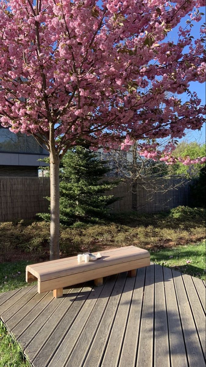 only aesthetic tweet media