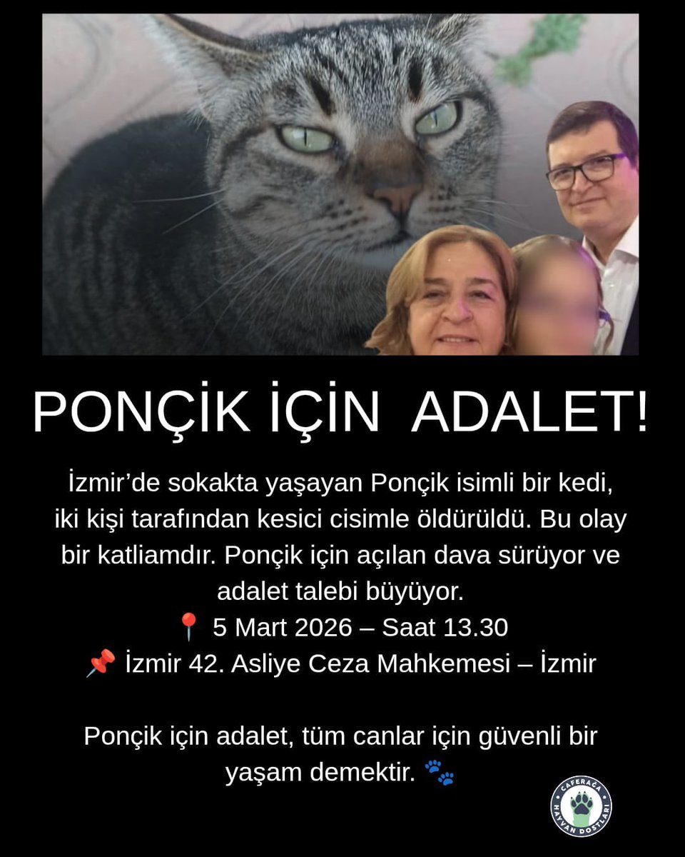 Caferağa Mahallesi Hayvan Dostları 🐾 tweet media