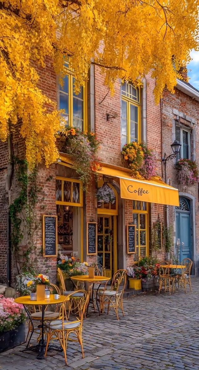 AhmetDuranHergn's tweet photo. Coffee corner... https://t.co/hN37nQKyS6