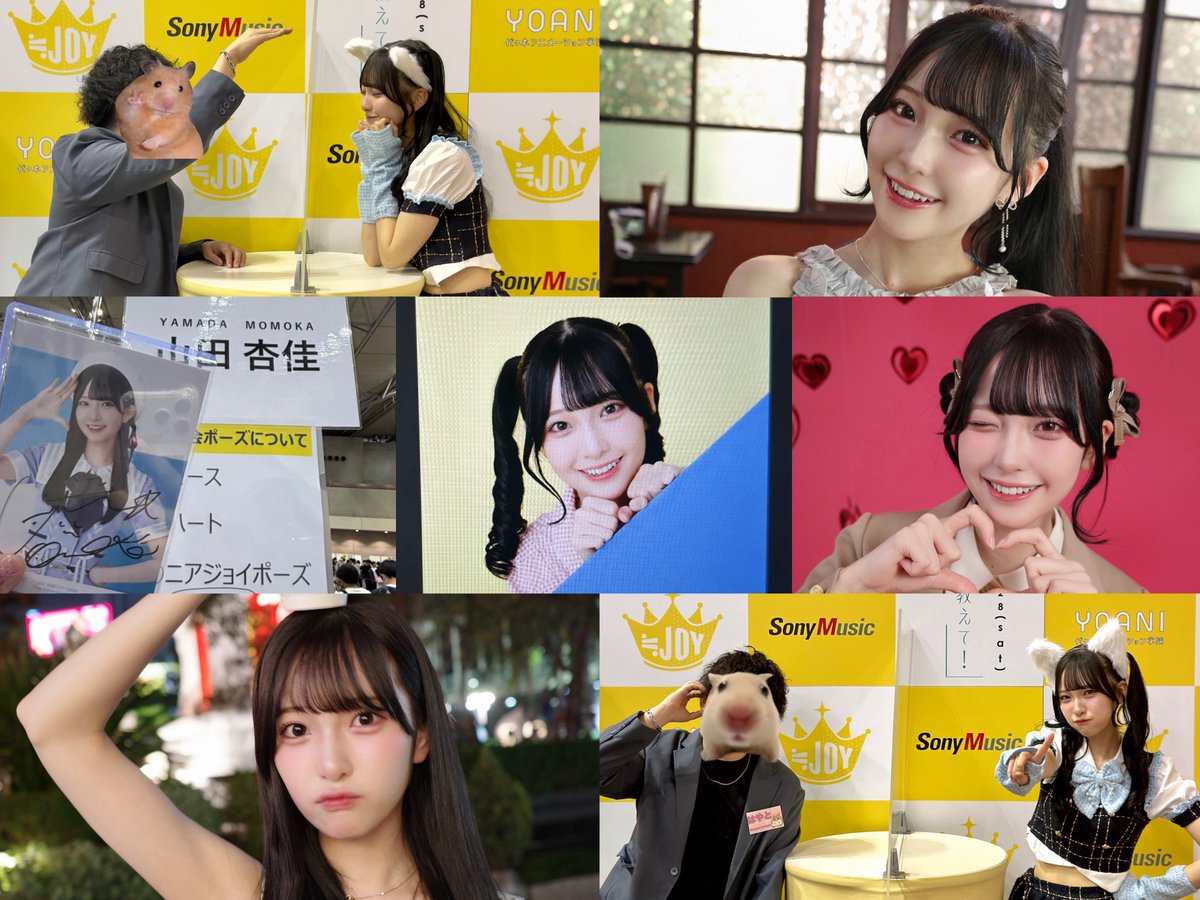 はやと🐹 tweet media